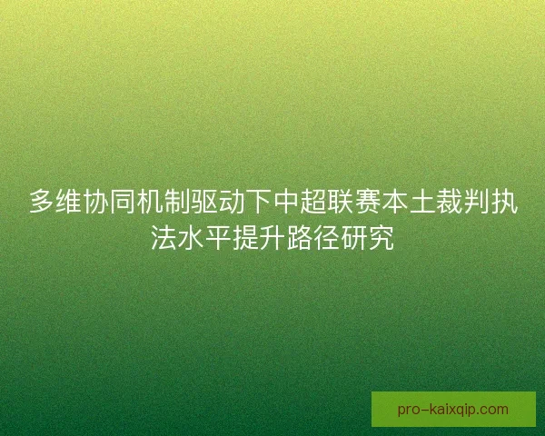 多维协同机制驱动下中超联赛本土裁判执法水平提升路径研究
